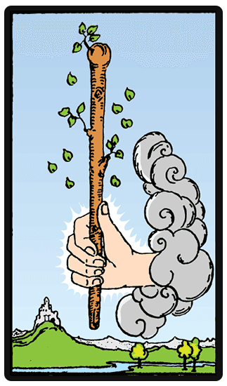 Ace of Wands tarot card